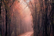 欧宝官网入口 -关于里程碑夜成都蓉城单刀错失；社区盾加时末段刷纪录；管理层满意；团队化学反应显著的信息